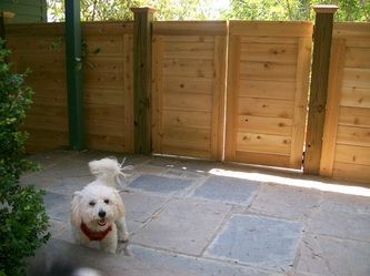 A Dog and a Wooden Fence – Pittsfield, MA - New England Fence