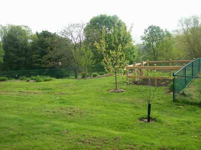 A Chain Link Fence Design – Pittsfield, MA - New England Fence