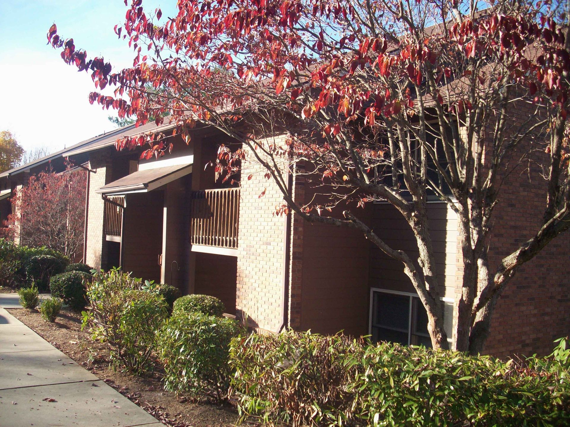 A brick apartment building with a tree in front of it