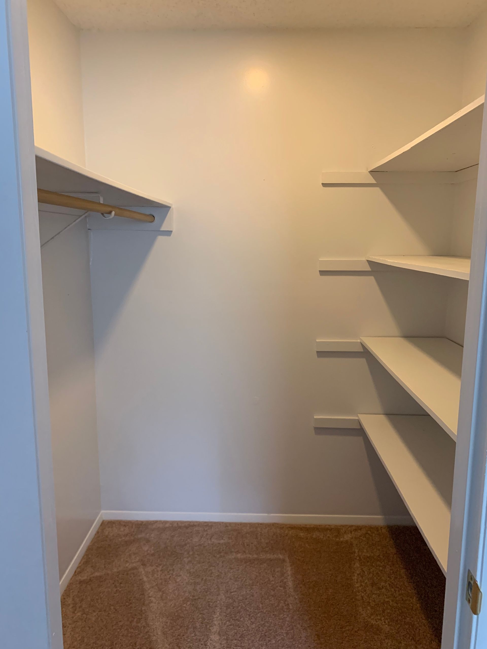 An empty walk in closet with white shelves and brown carpet.