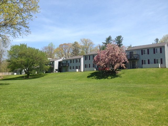 A large lawn in front of a building with a tree in the foreground.