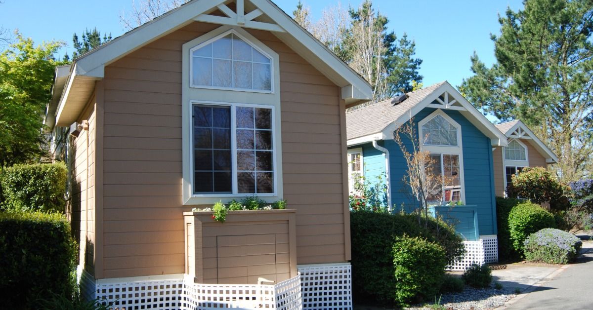 A little neighborhood of tiny homes parked next to each other. Two homes have tan siding, and the middle one has blue siding.