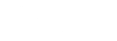 advanced spine & wellness logo