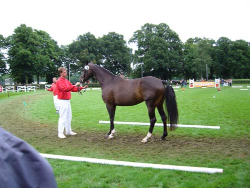 Eine Frau in einer roten Jacke steht neben einem braunen Pferd