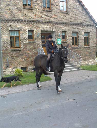 Ein Mann, der auf einem schwarzen Pferd vor einem Backsteingebäude reitet