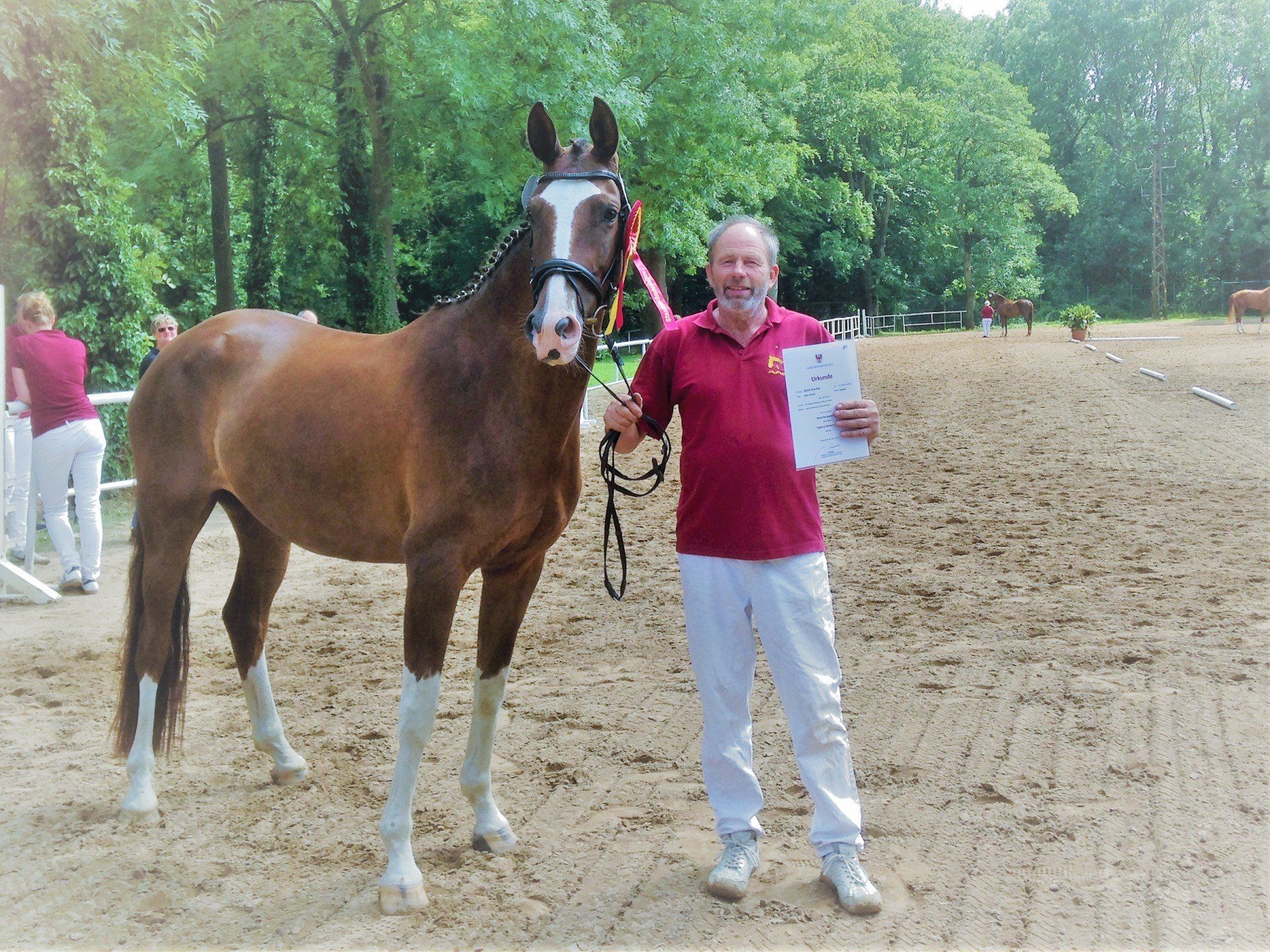 Ein Mann steht neben einem braunen Pferd und hält ein Zertifikat