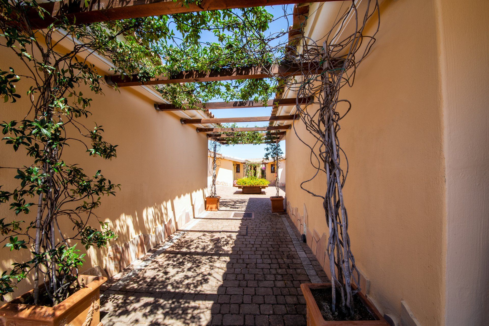 rooms in detached houses