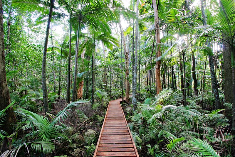Cairns Botanic Gardens