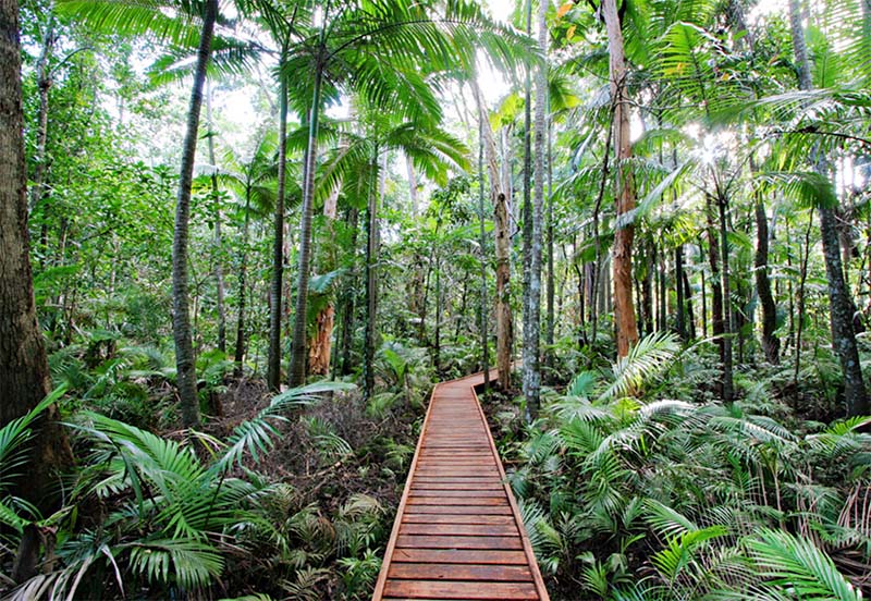 Cairns Botanic Gardens