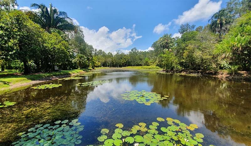 Cairns Botanic Gardens