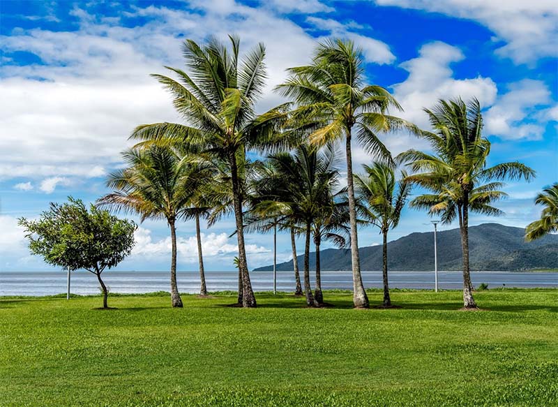 Cairns Esplanade Charles Street Parkland