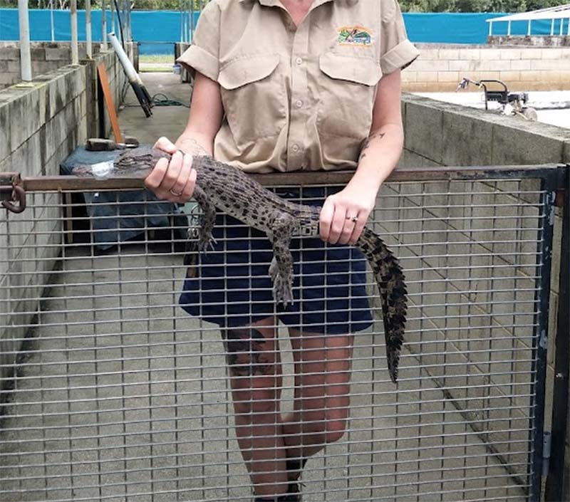 Crocodile Park