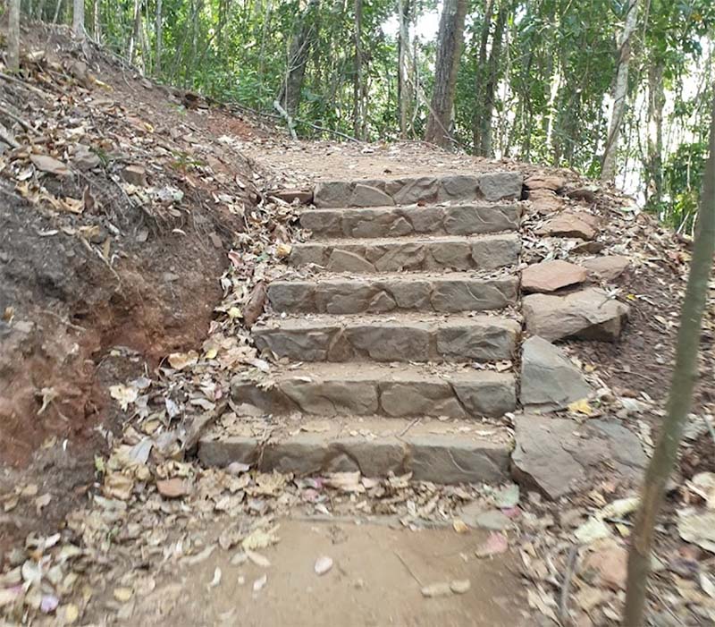 Earl Hill Summit Track