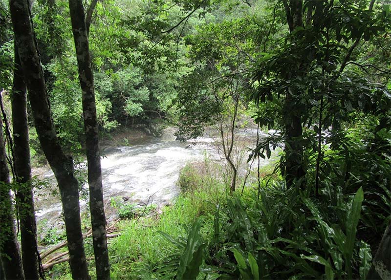 Gamburra Drive Park