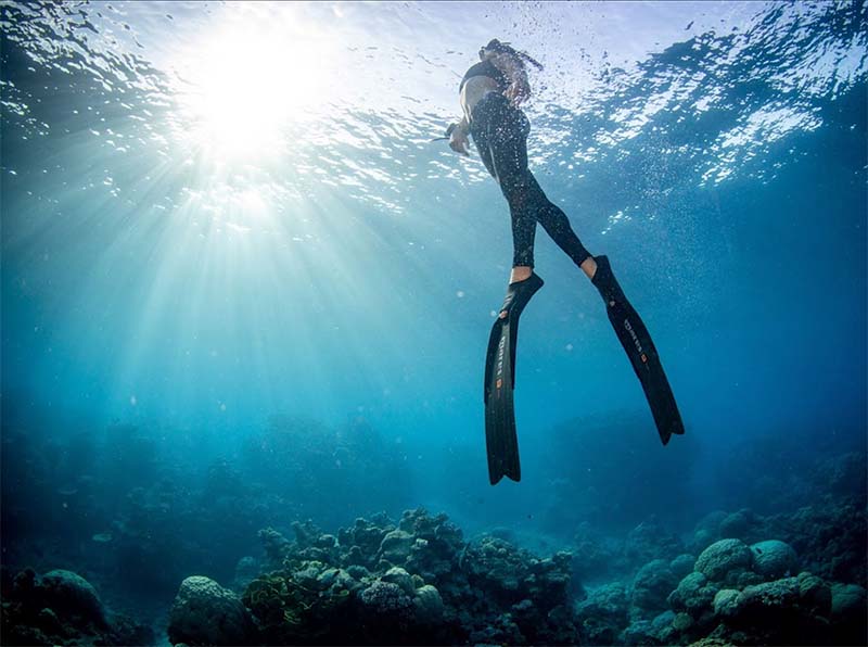 Great Barrier Reef Liveaboard