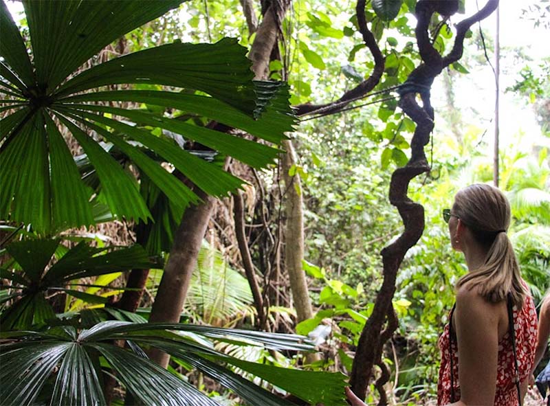 Jungle Tours & Trekking