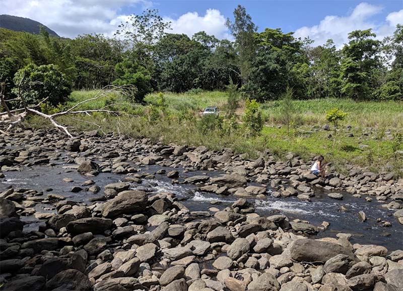 Kamerunga Regional Park