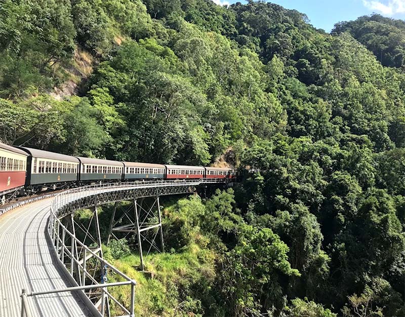 Kuranda Rainforest Tours