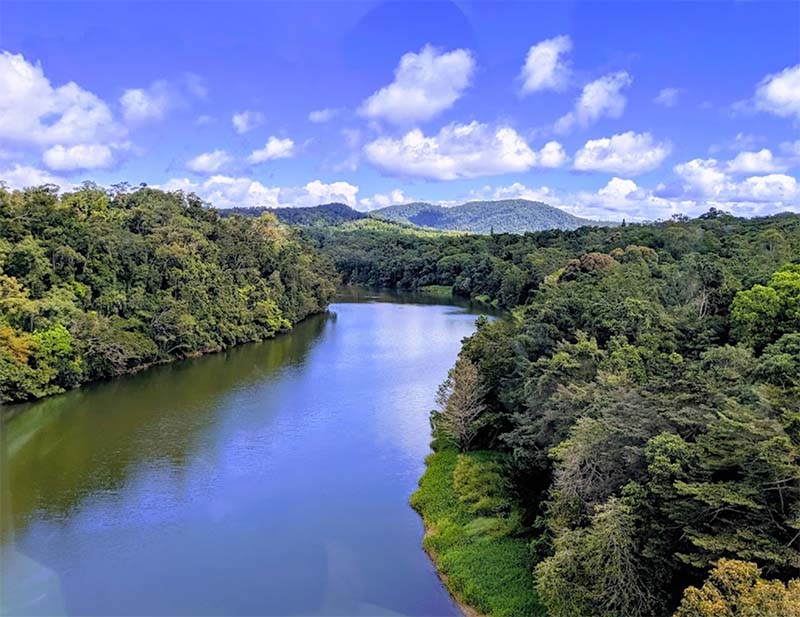 Skyrail Rainforest Cableway