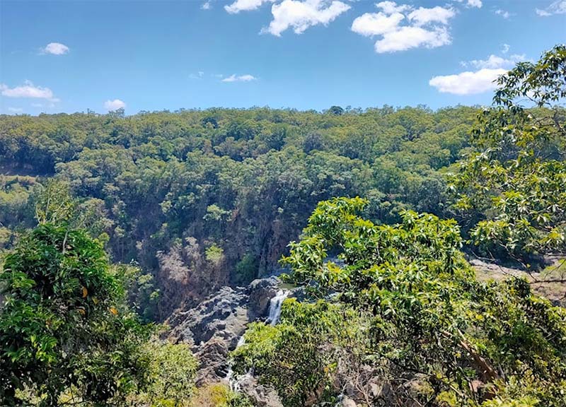 Skyrail Rainforest Cableway