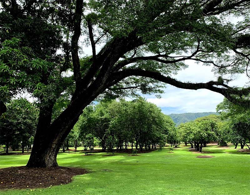 Sugarworld Parklands