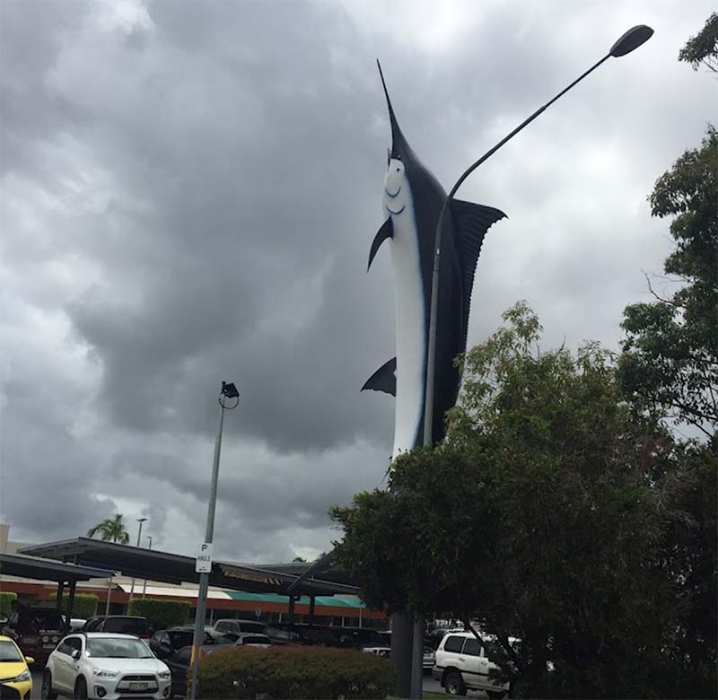 The Big Marlin