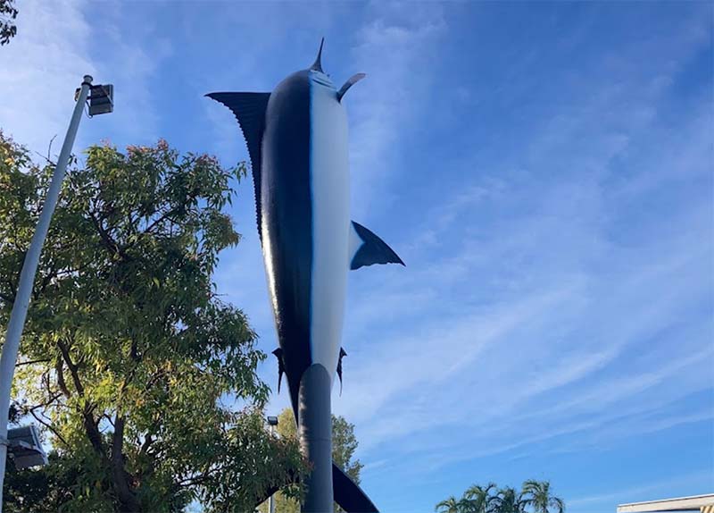 The Big Marlin