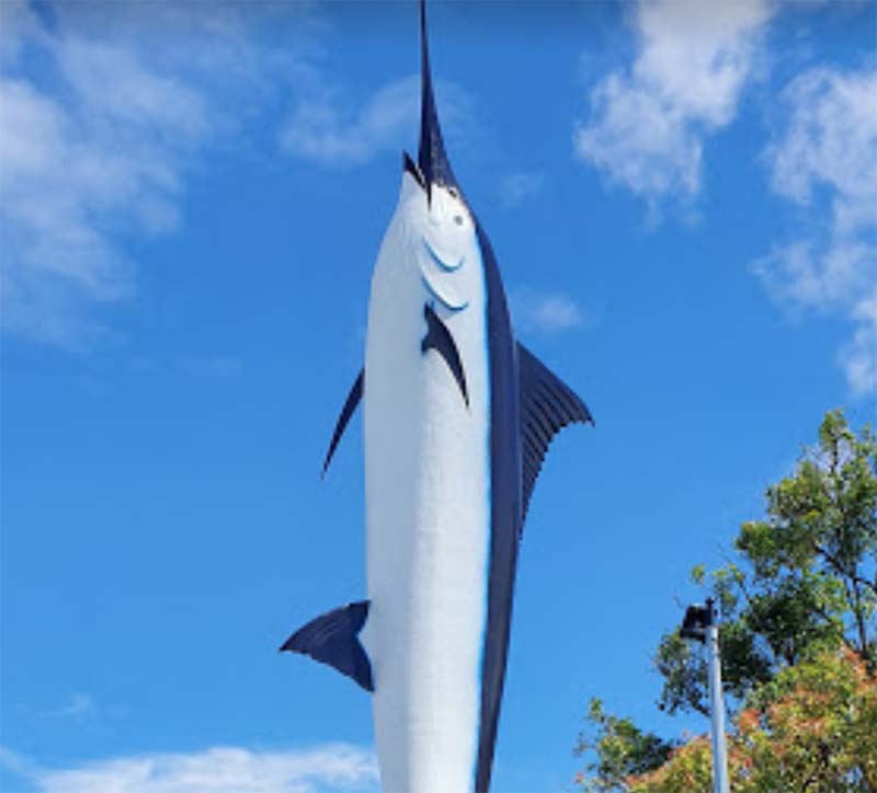 The Big Marlin
