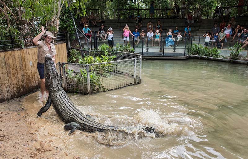 Hartley's Crocodile Adventures