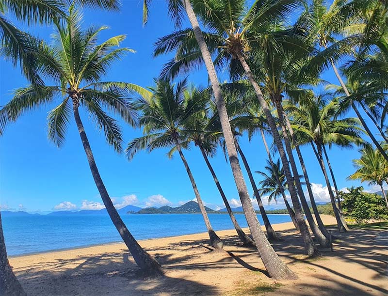 Palm Cove Beach