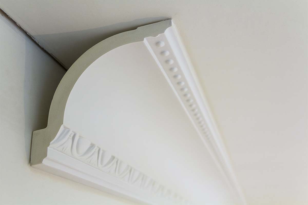 Plaster Cornice Installation Whitfield Cairns