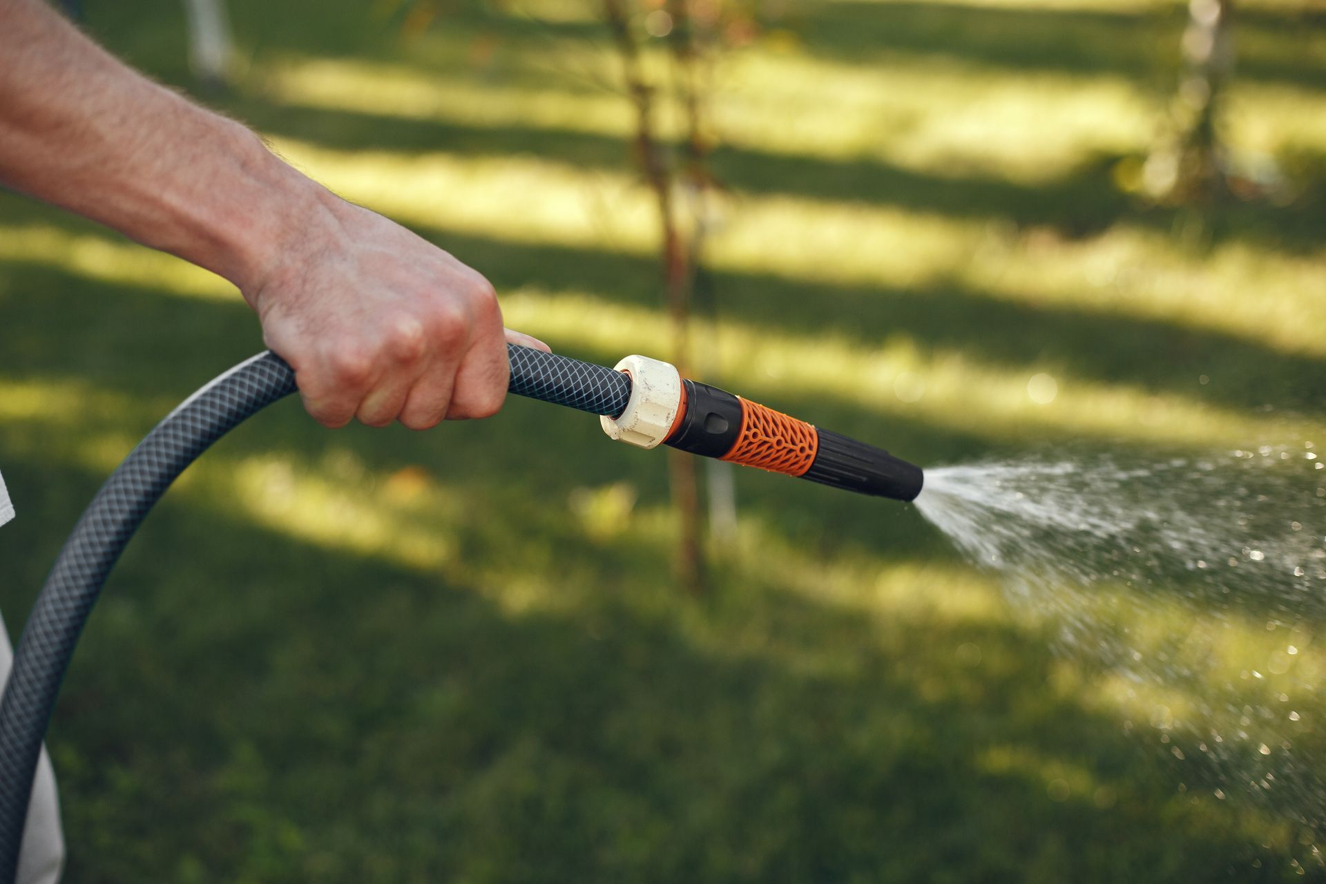 A man is watering a lawn with a hose.