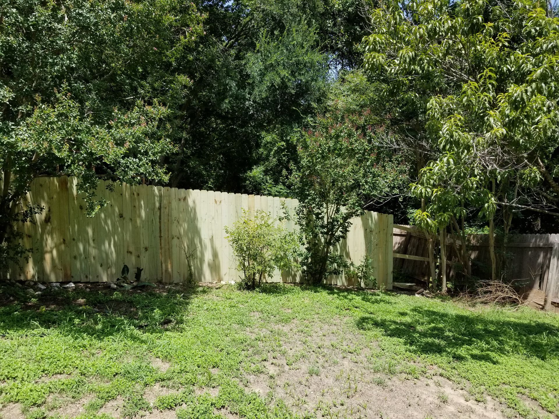 A backyard with a wooden fence and trees in the background.