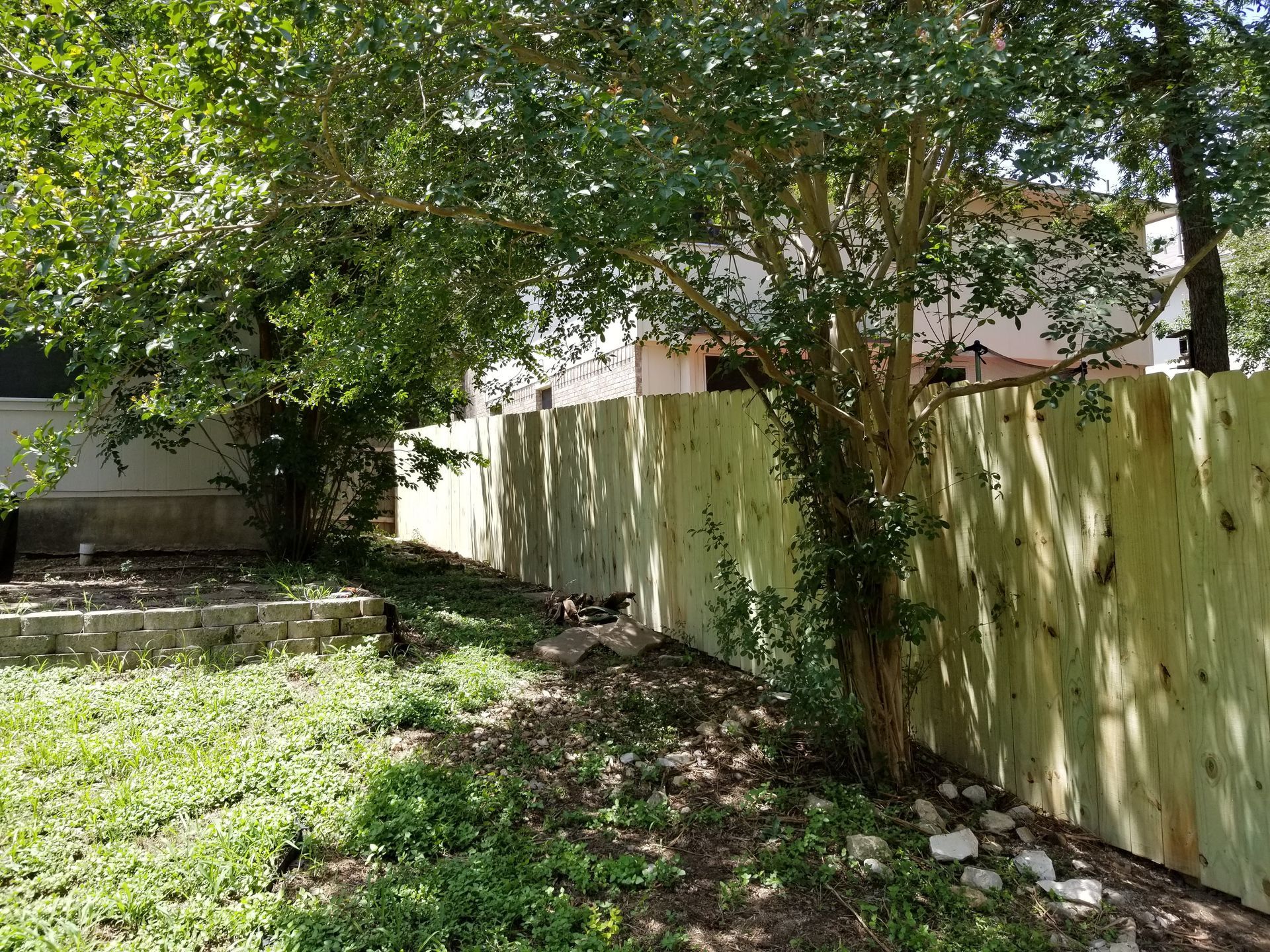 A wooden fence is surrounded by trees in a backyard.