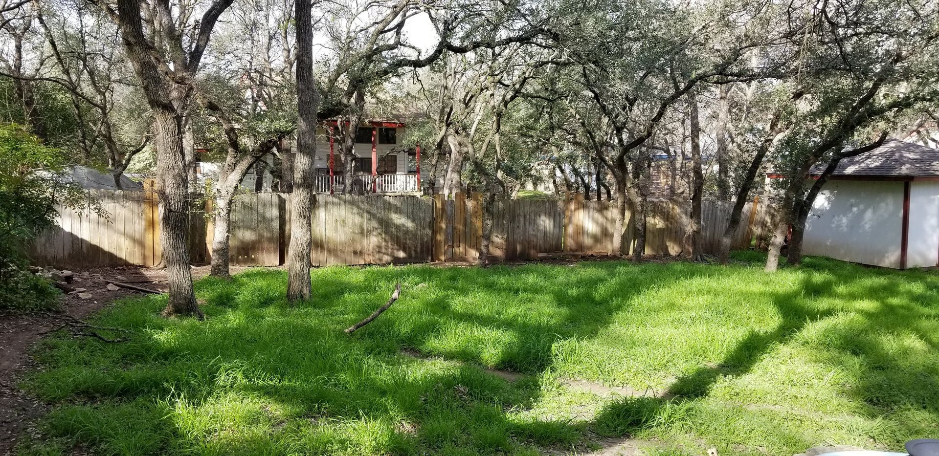 A lush green yard with trees and a fence in the background.