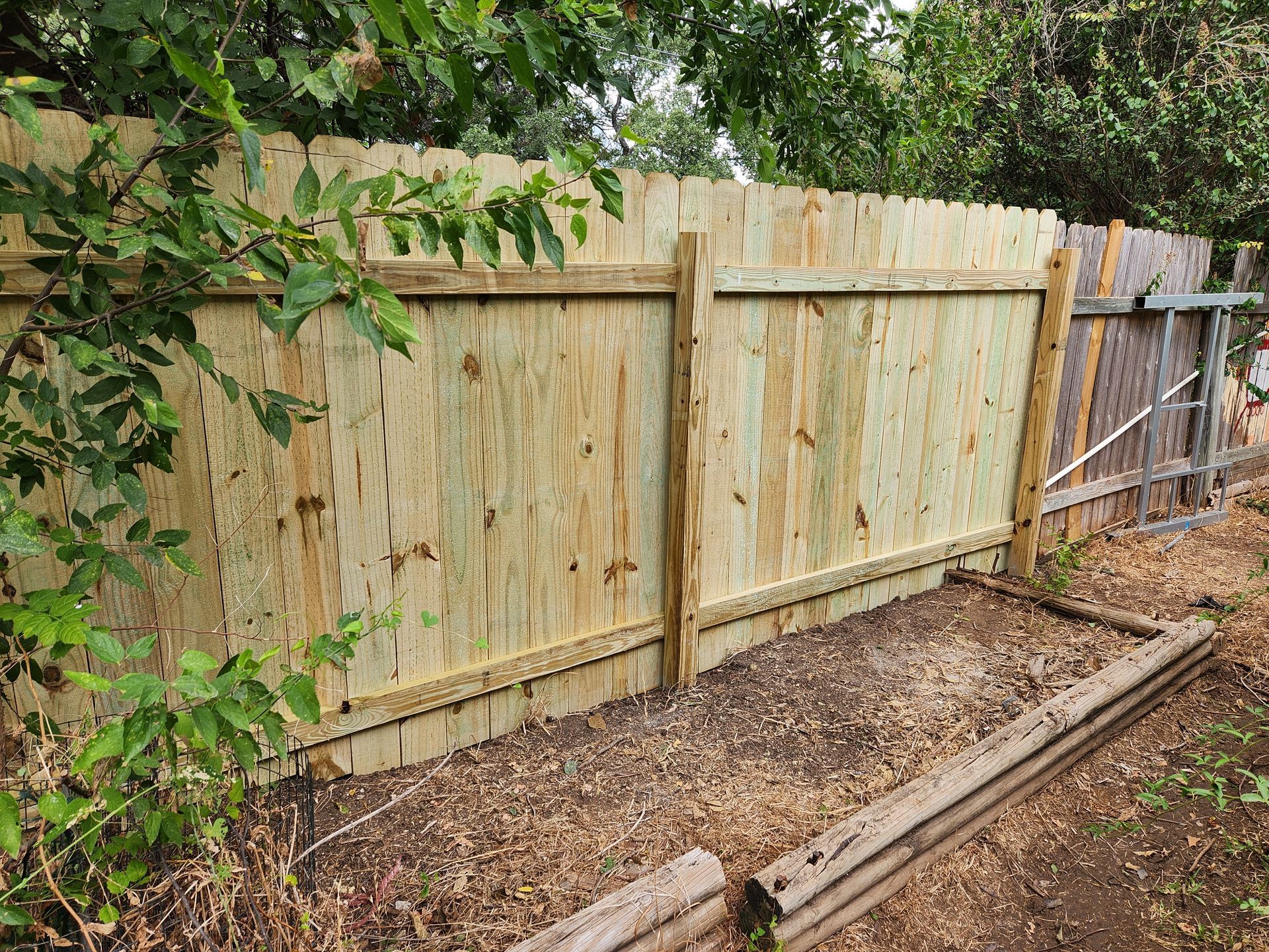 A wooden fence is surrounded by trees in a backyard.