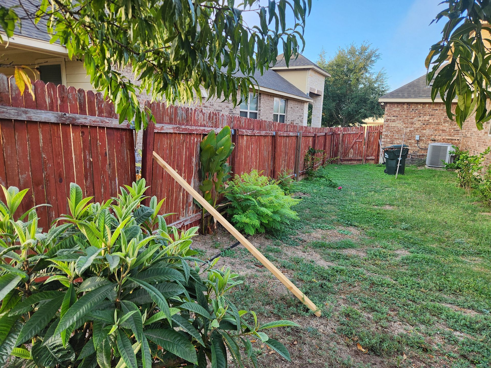 A backyard with a wooden fence and a rake in the grass.