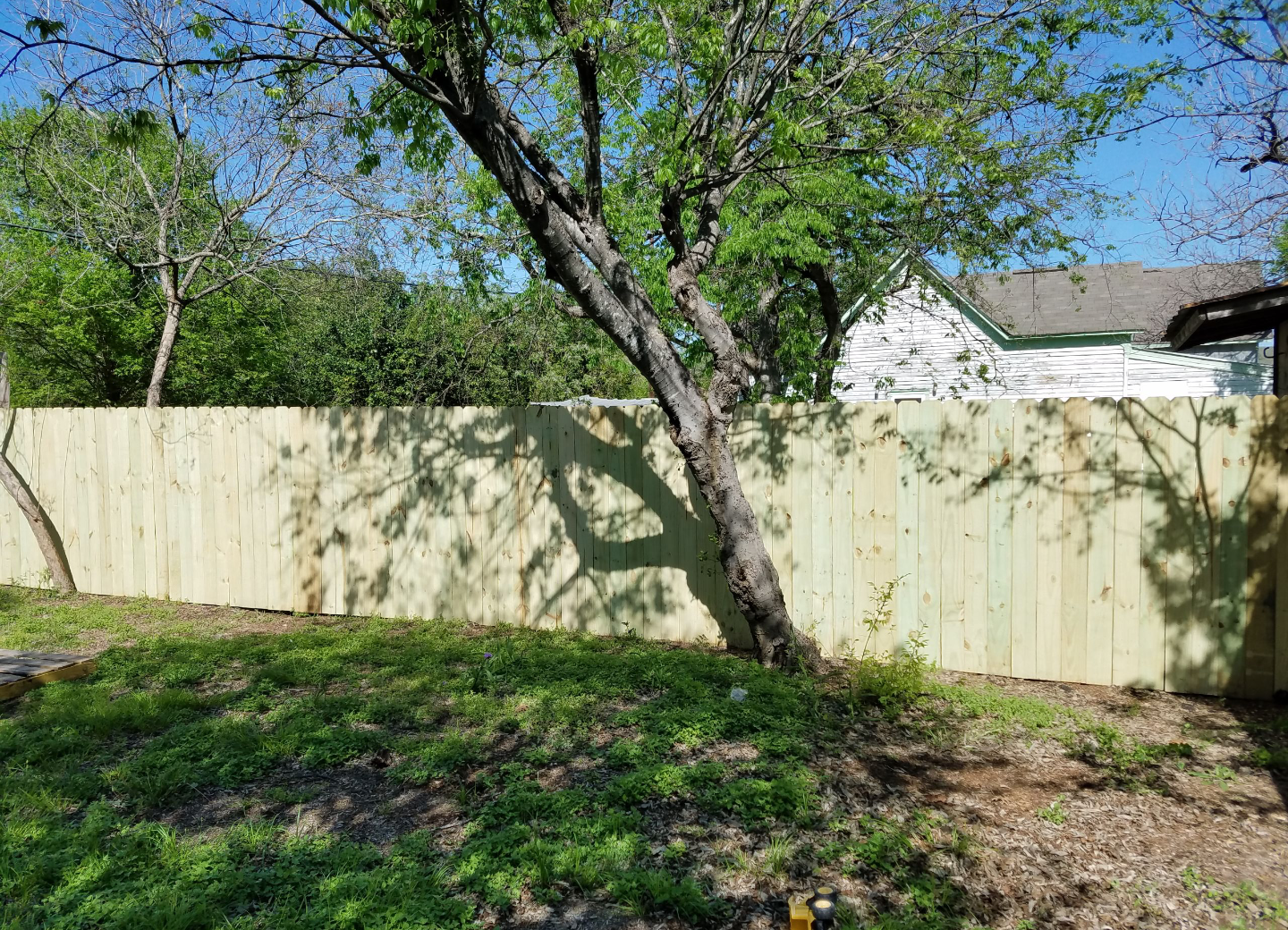 A wooden fence is surrounded by trees in a backyard.