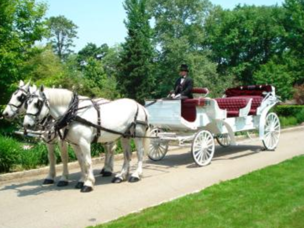 A horse drawn carriage with a man in the driver 's seat
