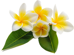 Beautiful flowers with leaves