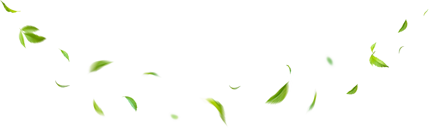 Green leaves