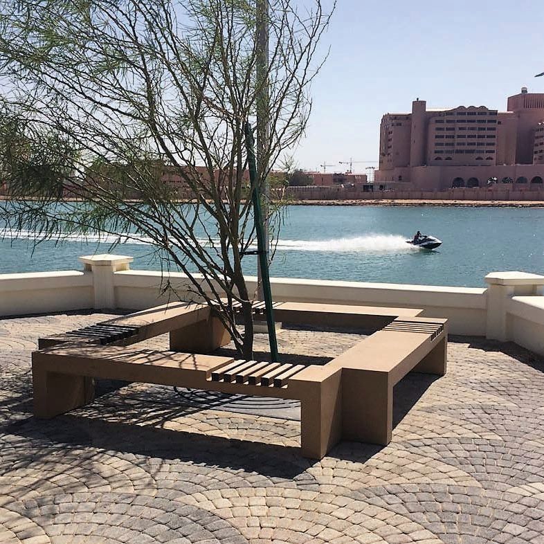 Albero con panchina di fronte a uno specchio d'acqua, moto d'acqua in movimento; edifici sullo sfondo.