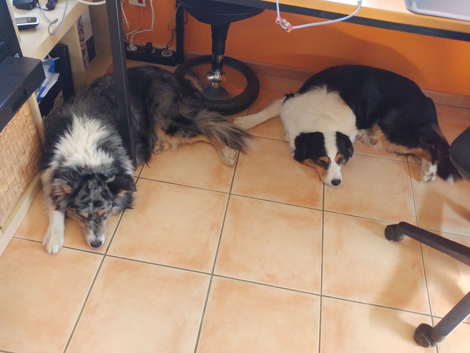 Co-Worker