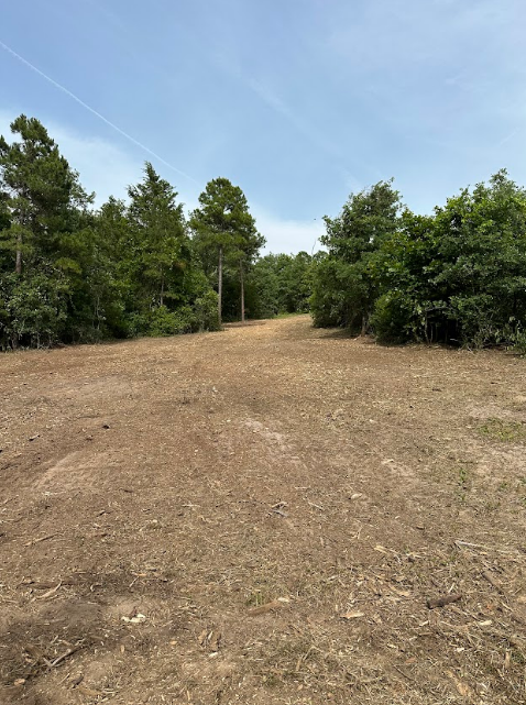 A dirt field with trees in the background on a sunny day