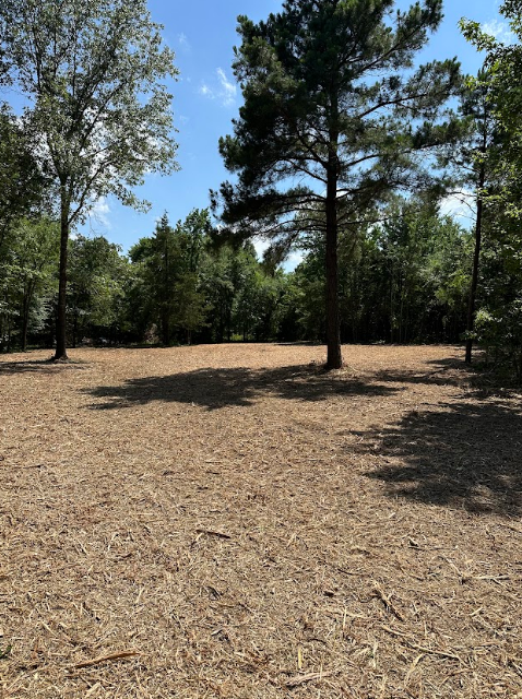 A dirt field with trees in the background