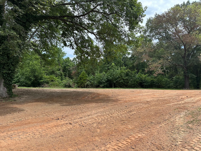 A dirt field surrounded by trees on a sunny day.