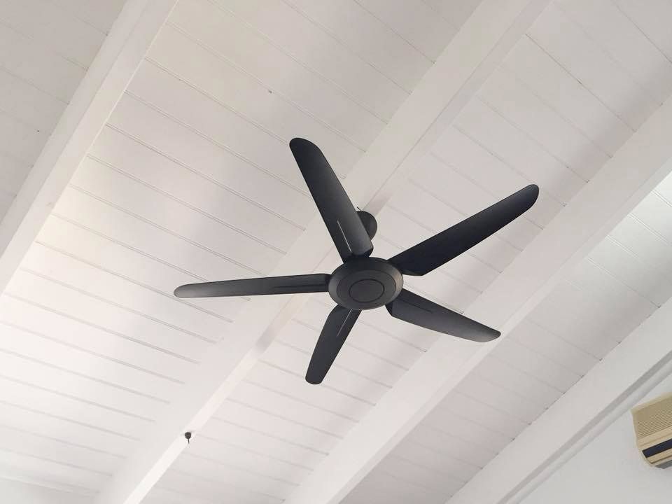 White Ceiling With Black Ceiling Fan — Electrical Contractors in Grafton, NSW