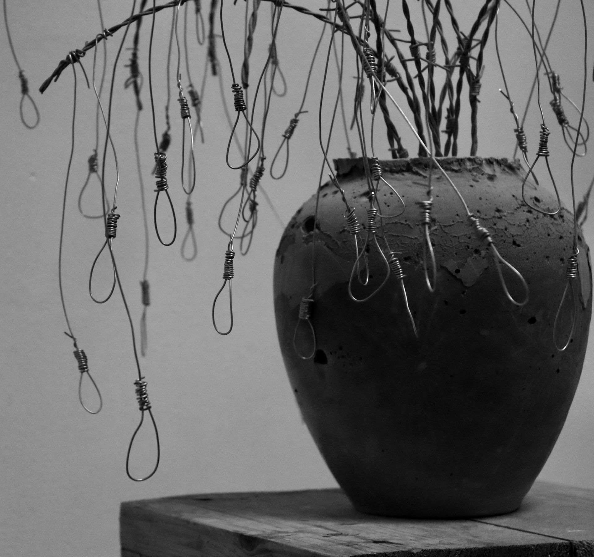 Een zwart-witfoto van een vaas met daar in prikkeldraad