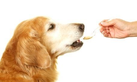 reparti all'interno della farmacia