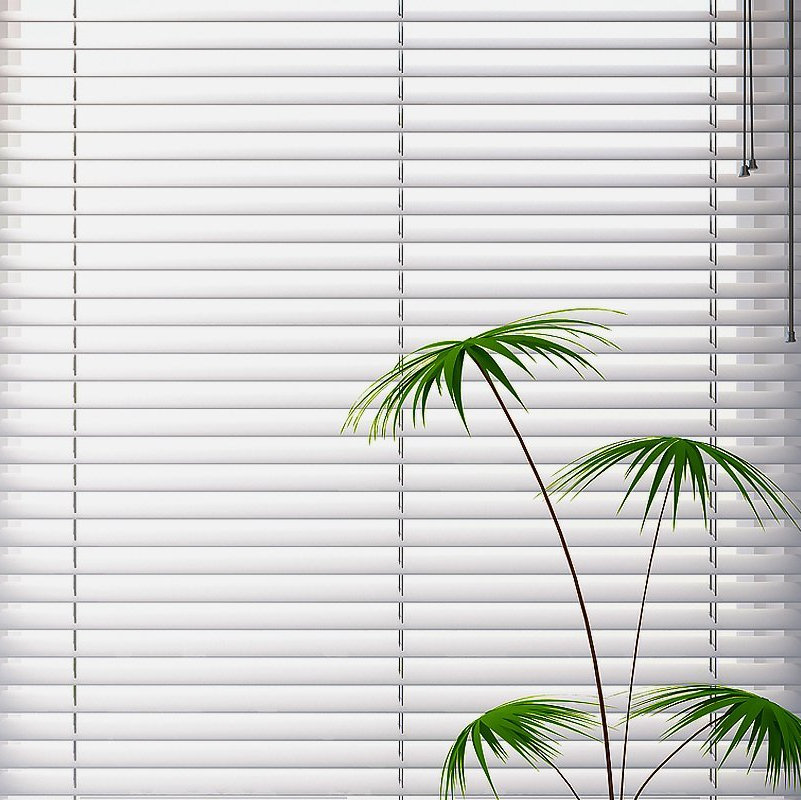 Professional blinds fitting